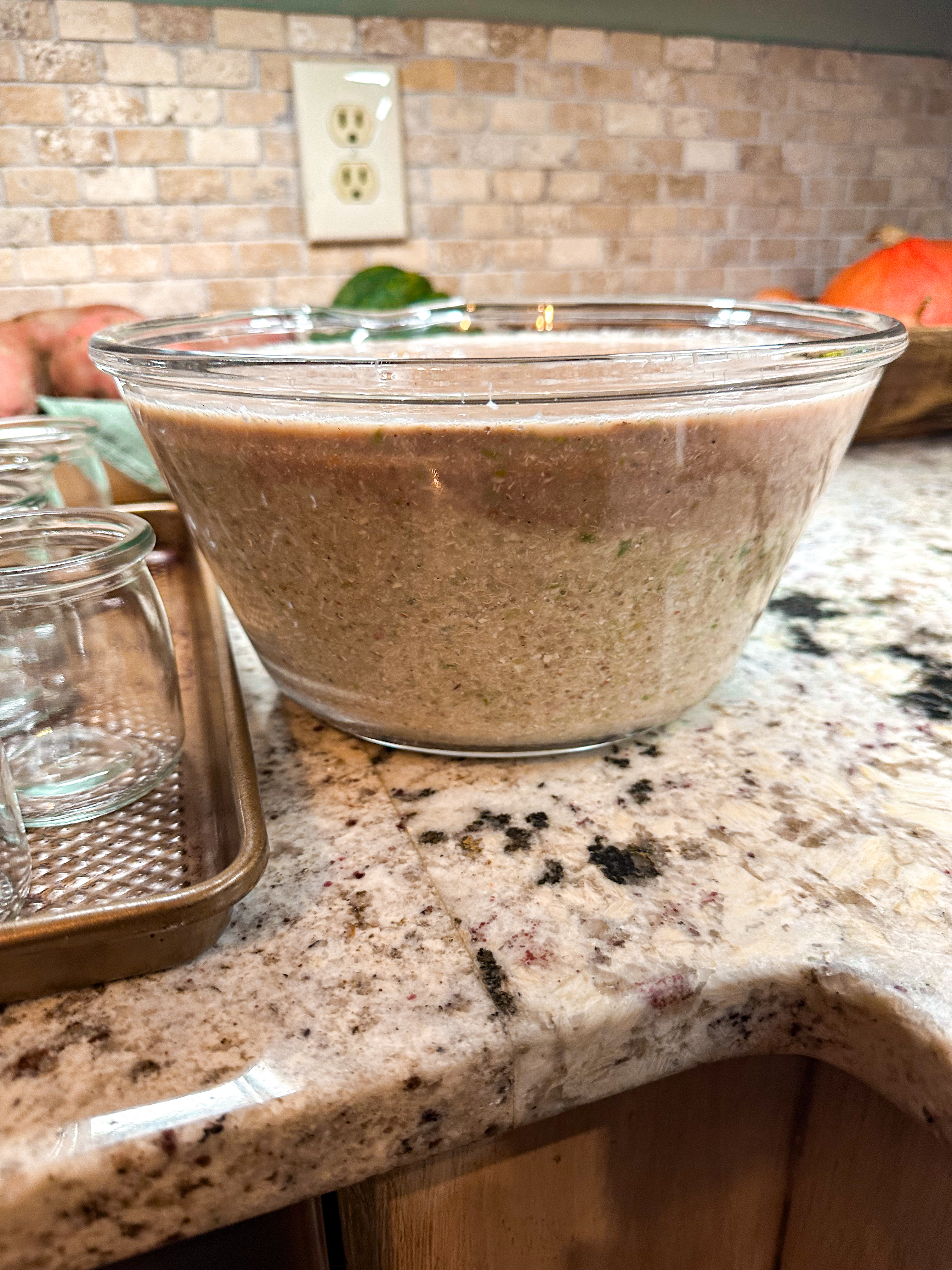 Bowl filled with blended homemade cat food on a kitchen counter, prepared for portioning and storage.