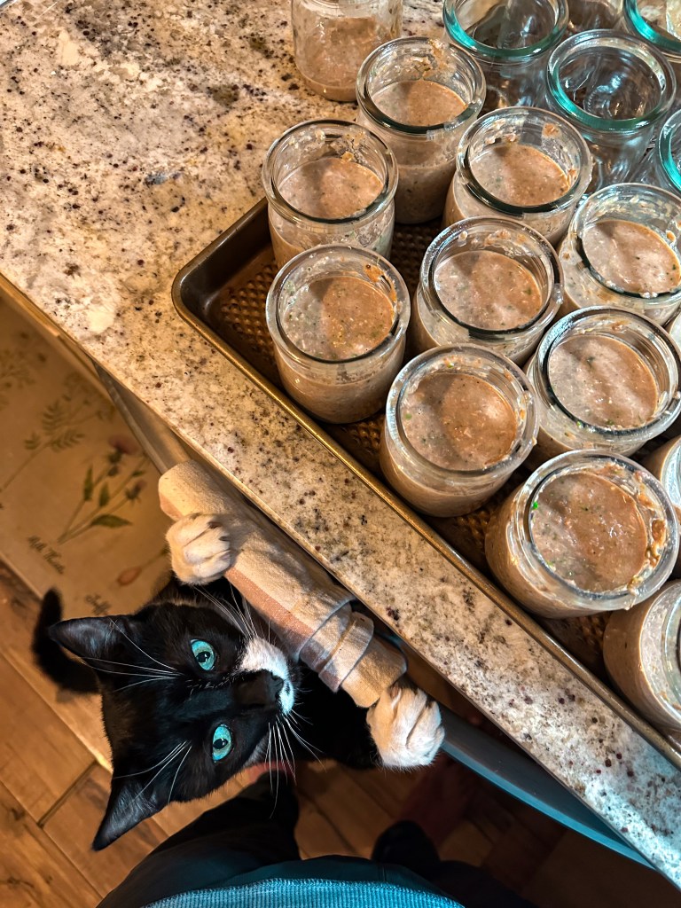 Healthy High Protein Cat Food&nbsp;Recipe