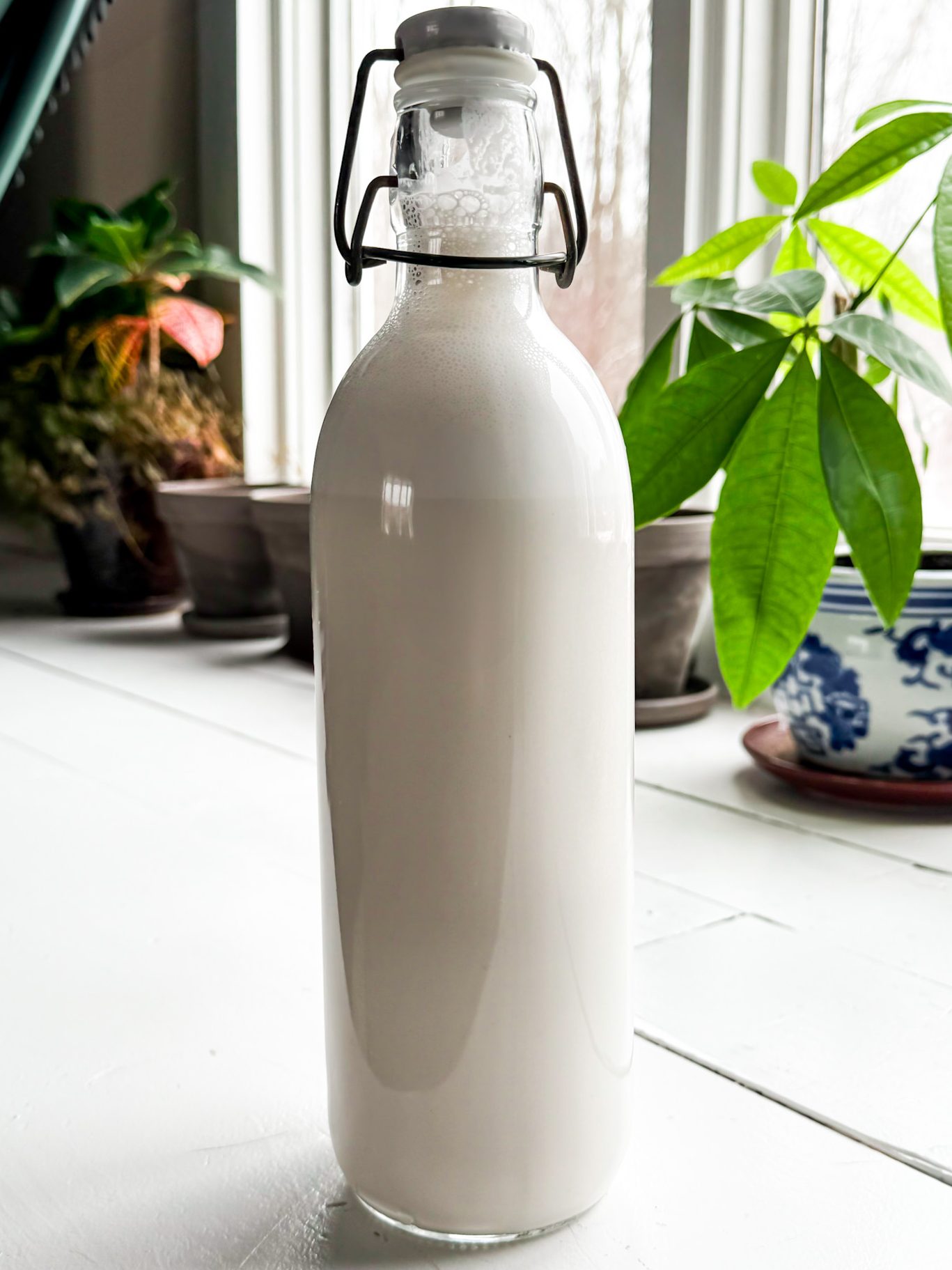 Glass bottle of homemade cashew milk on a white table with natural light and green plants in the background.