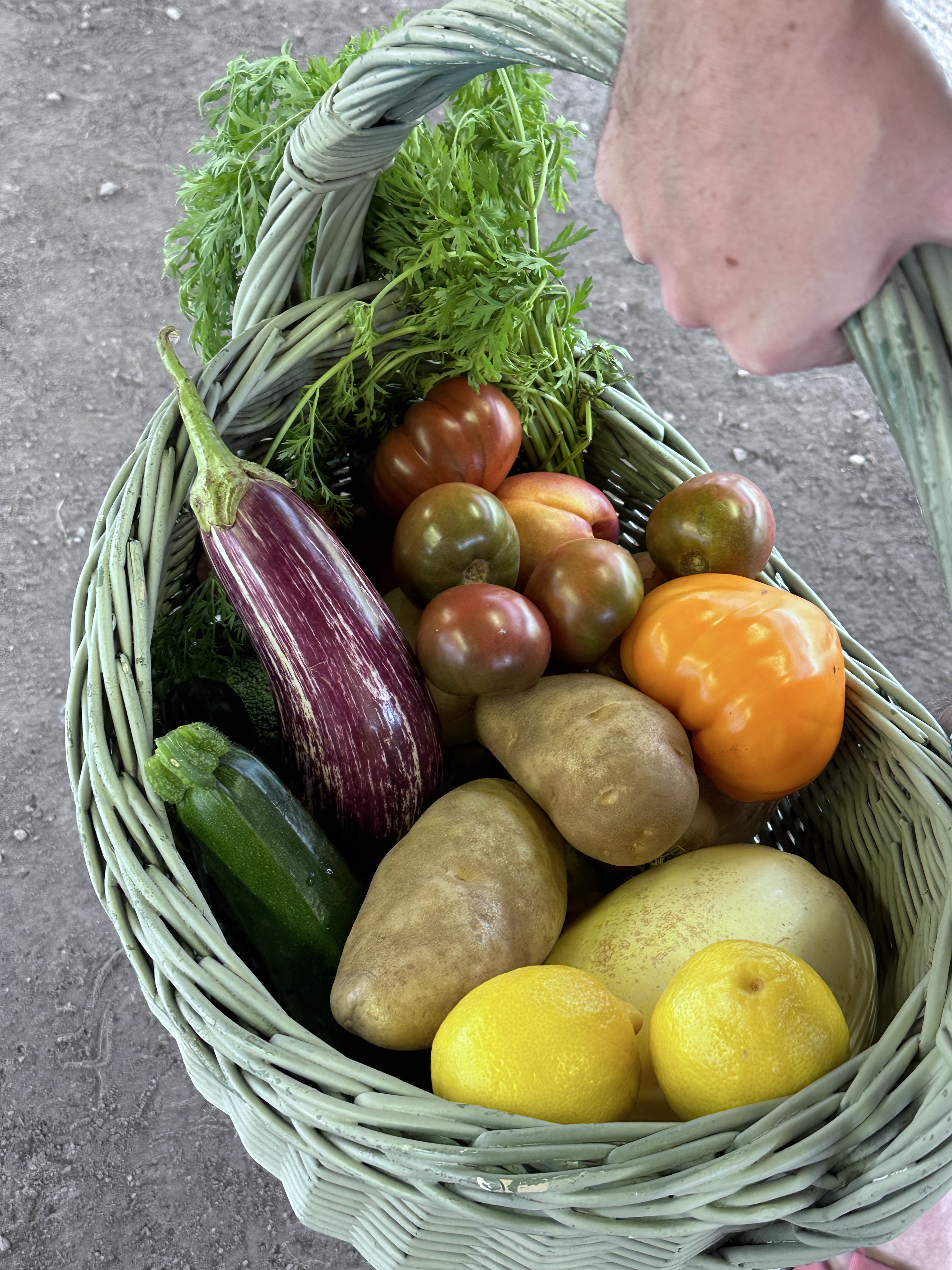 title A woven basket filled with fresh, colorful produce, including eggplants, tomatoes, and potatoes.
