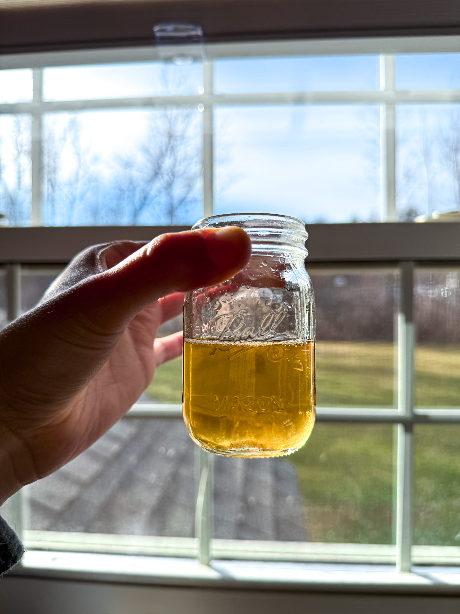 A mason jar of golden bacon fat in front of a window with natural light.